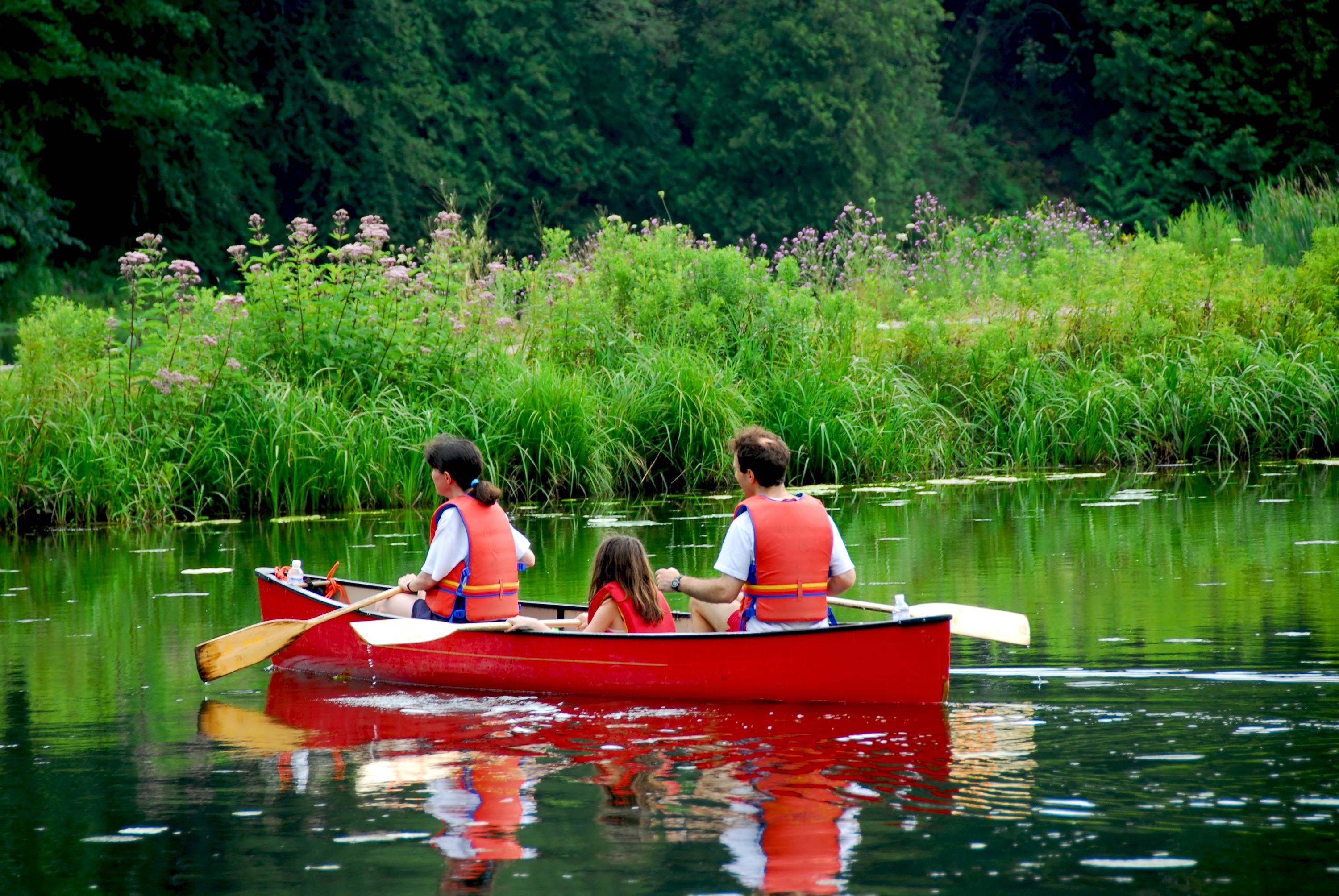 Family Canoe River